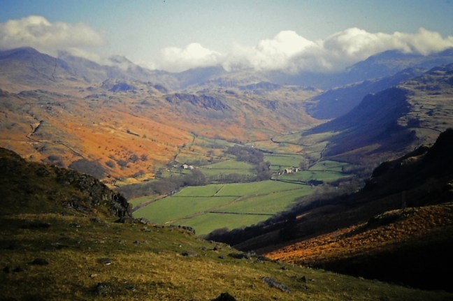 The big 50_6721_edited-1