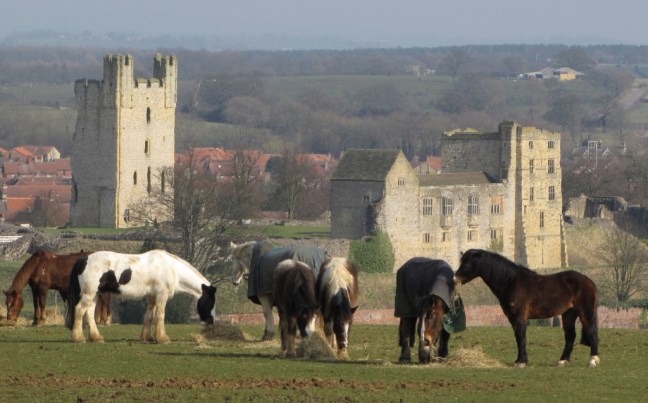 miscmarch-09-010_edited-1