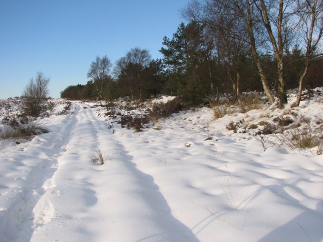 north-york-moors-feb-09-075
