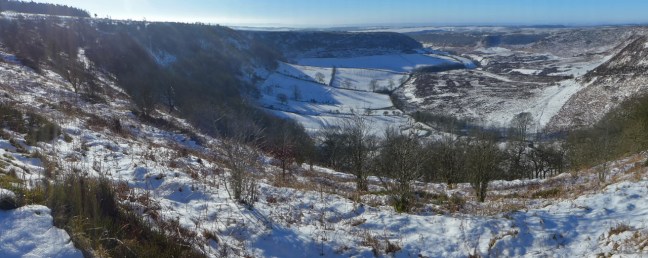 yorkshire-2015_7460_edited-1