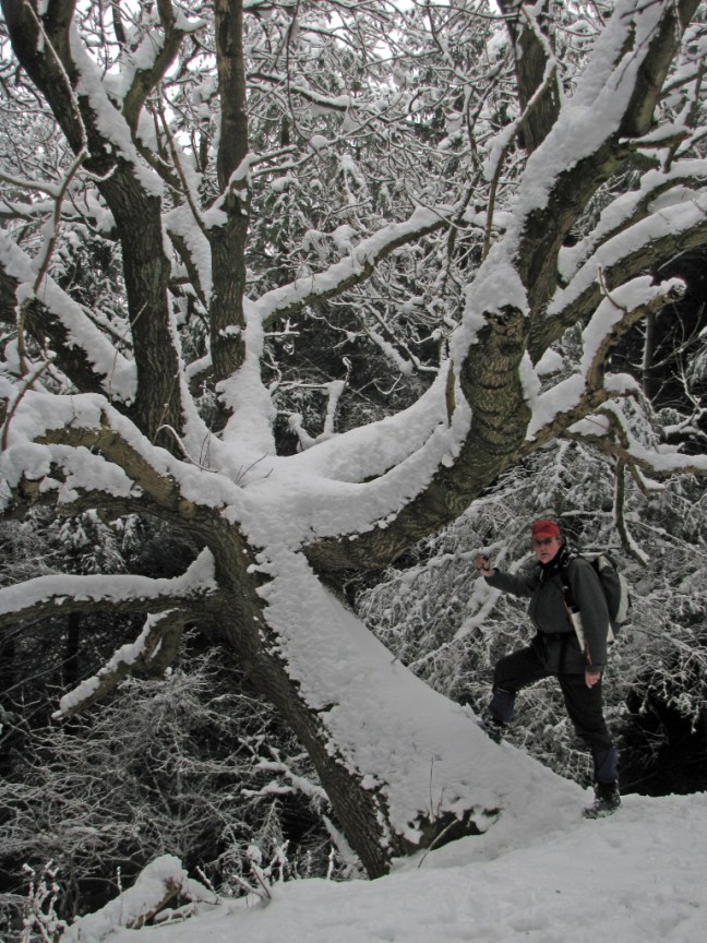 mosaic-walk-1_0621_edited-1