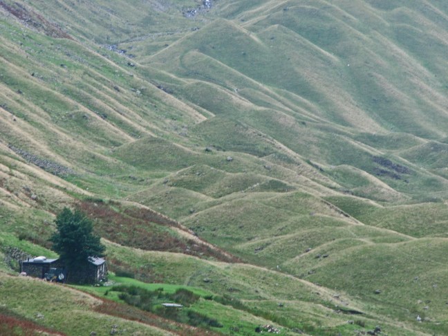 non-stag-do-016_edited-1