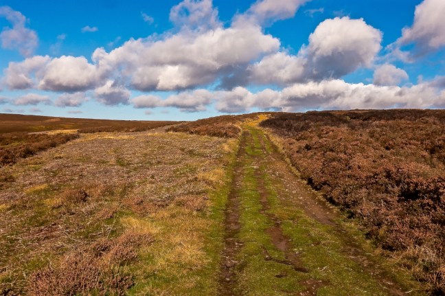 the-crosses-walk_0078_edited-1