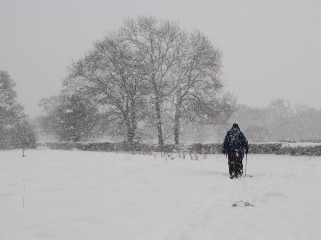 dunnington-area-walk_0335