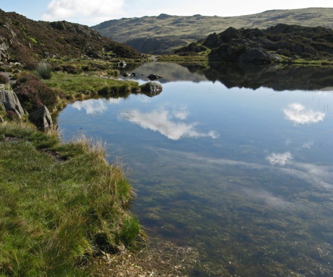 black-sail-sept-2009-082_edited-2