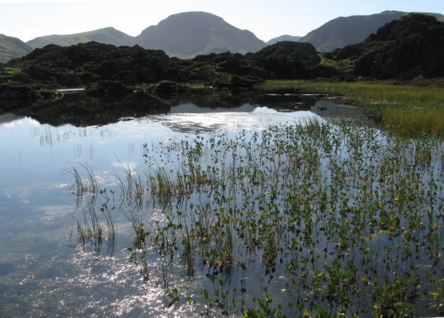 Innominate Tarn
