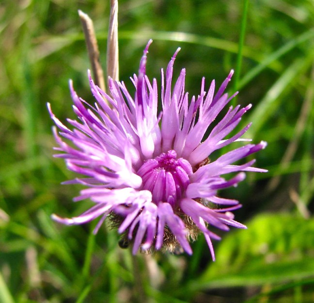 September 2008 106-1