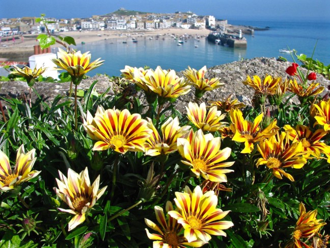 September Sun St Ives