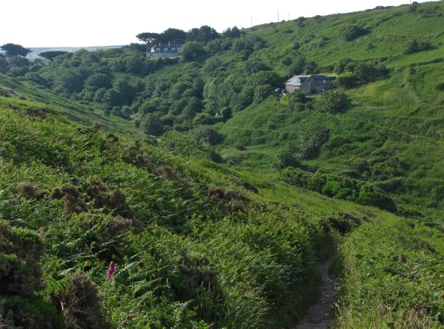 Cornwall Summer 2008 126