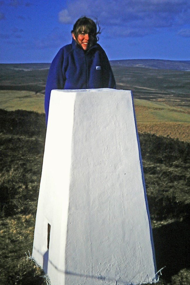 Penny painting David's trig