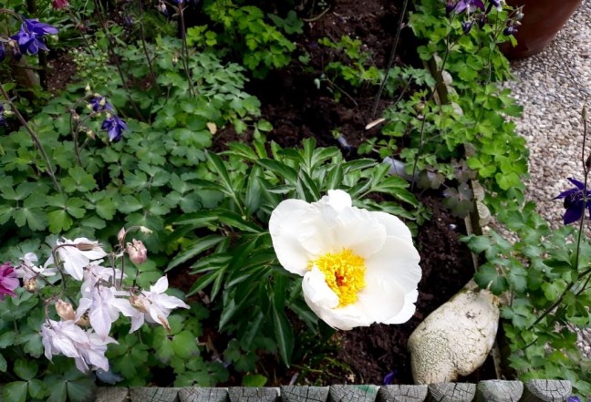 ef170dc6-431c-4d36-99b0-19e8e6155402